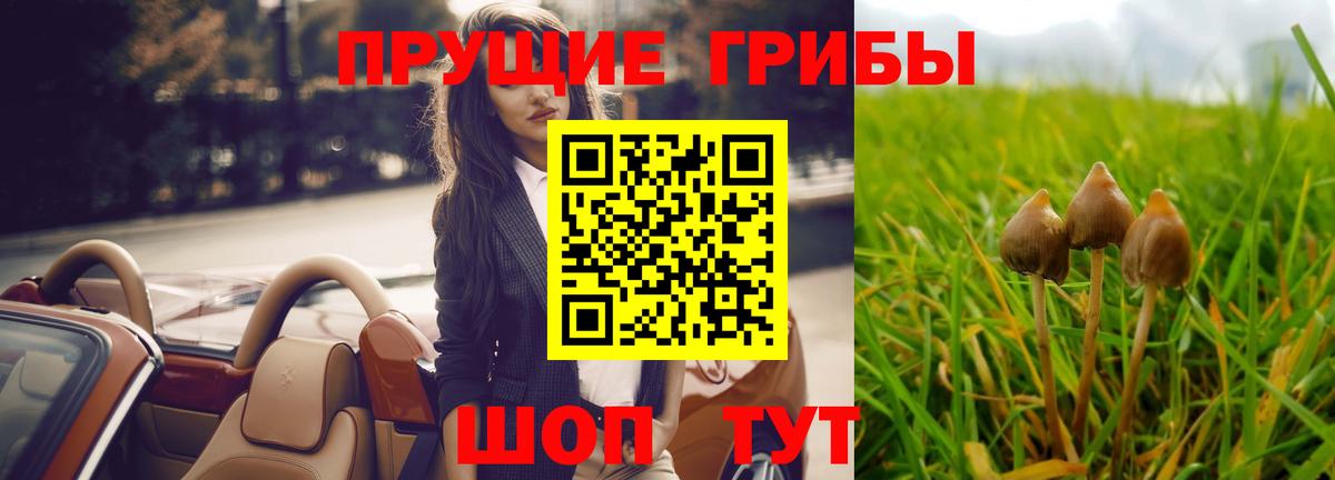 купить наркотик  Псилоцибиновые грибы Psilocybine cubensis  Моздок  Вход с VPN  Галлюциногенные грибы Psilocybine cubensis 